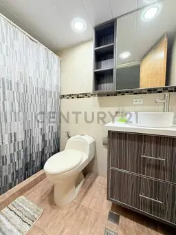 Vista 7
