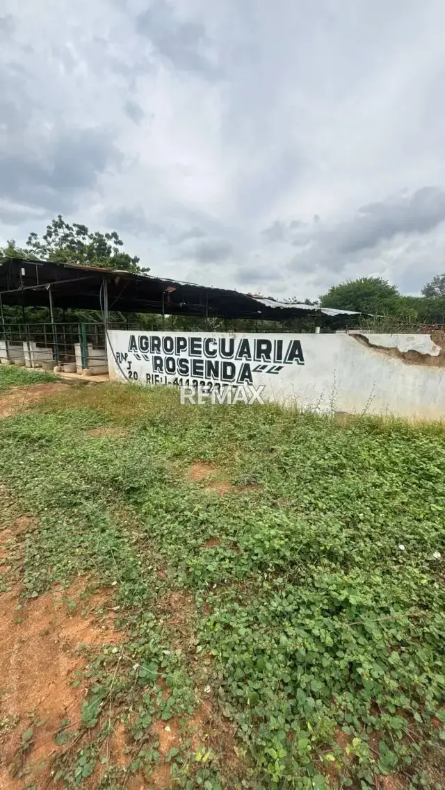 FINCA EN VENTA EN EL KILOMETRO 18 VIA PERIJA HACIENDA LA ROSENDA