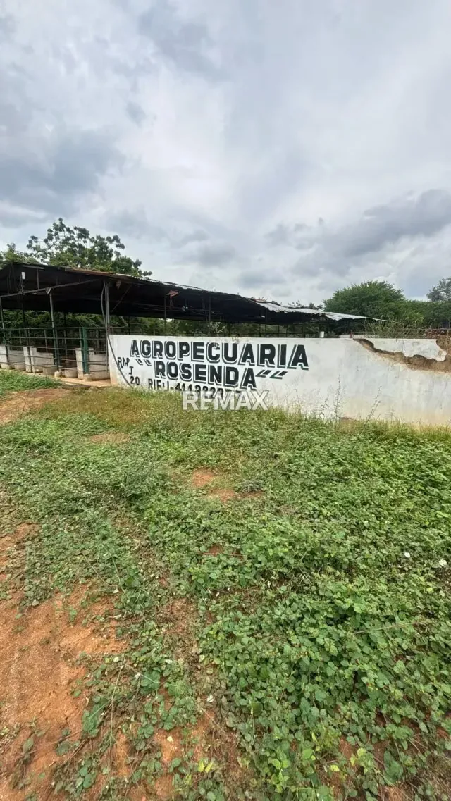 FINCA EN VENTA EN EL KILOMETRO 18 VIA PERIJA HACIENDA LA ROSENDA