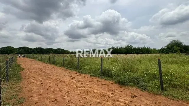 FINCA EN VENTA EN EL KILOMETRO 18 VIA PERIJA HACIENDA LA ROSENDA - 16