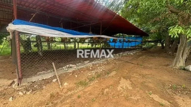 FINCA EN VENTA EN EL KILOMETRO 18 VIA PERIJA HACIENDA LA ROSENDA - 20