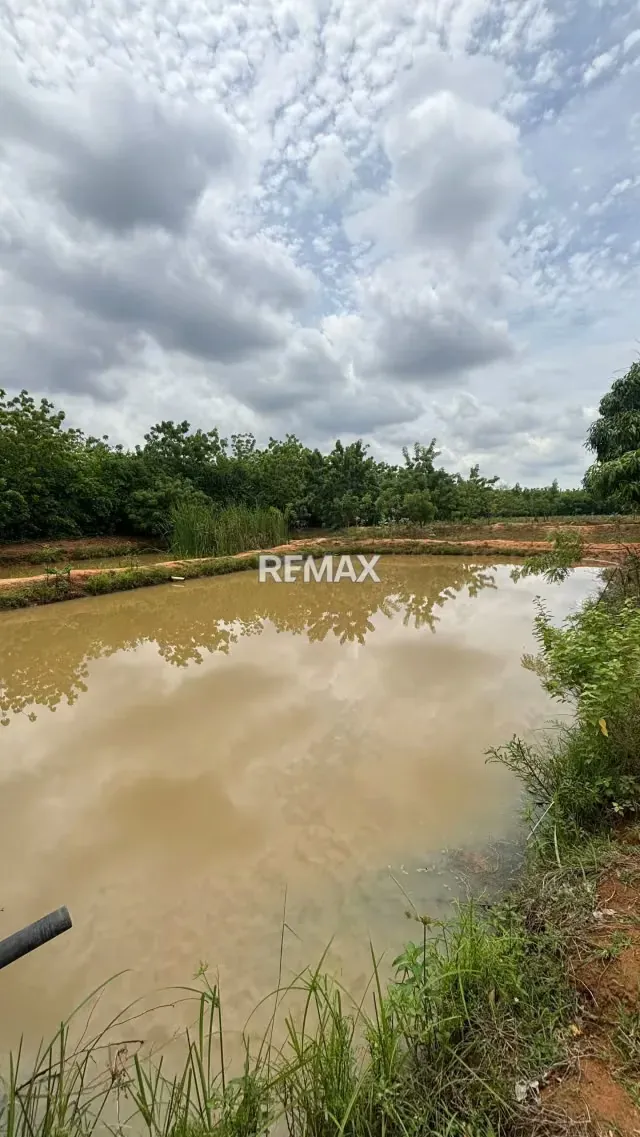 FINCA EN VENTA EN EL KILOMETRO 18 VIA PERIJA HACIENDA LA ROSENDA - 6