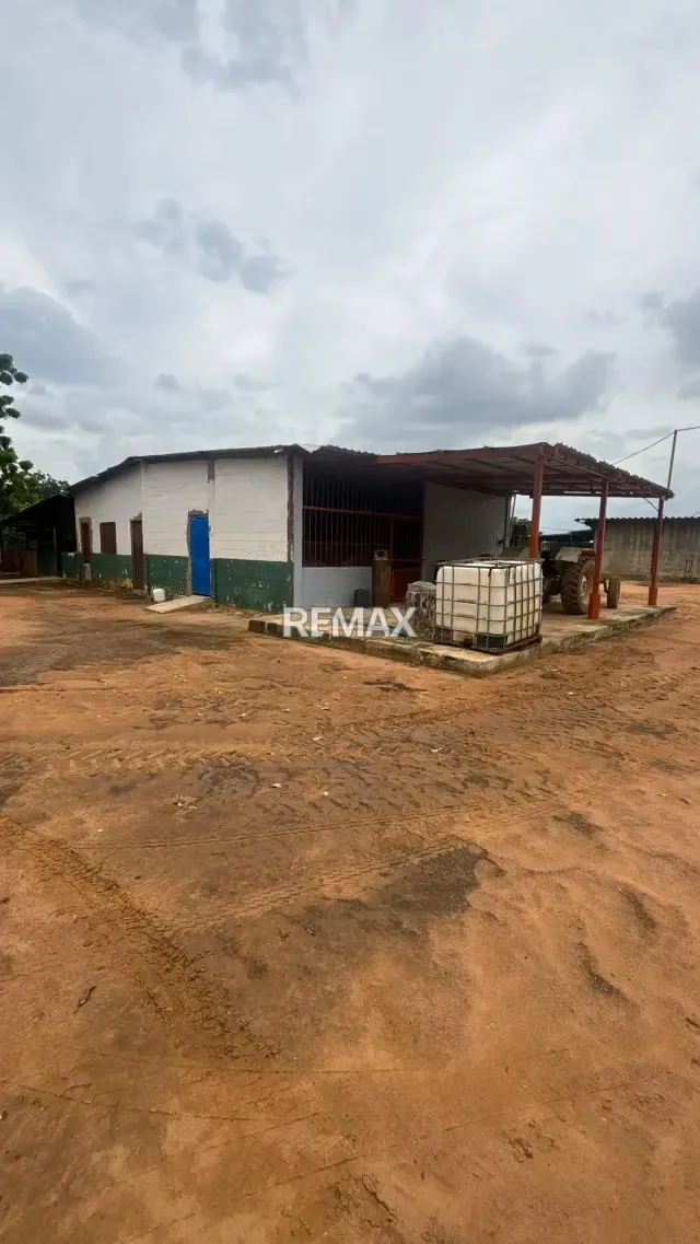 FINCA EN VENTA EN EL KILOMETRO 18 VIA PERIJA HACIENDA LA ROSENDA - 10