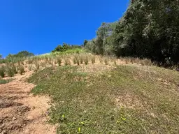 Vista 5