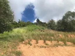 Vista 6