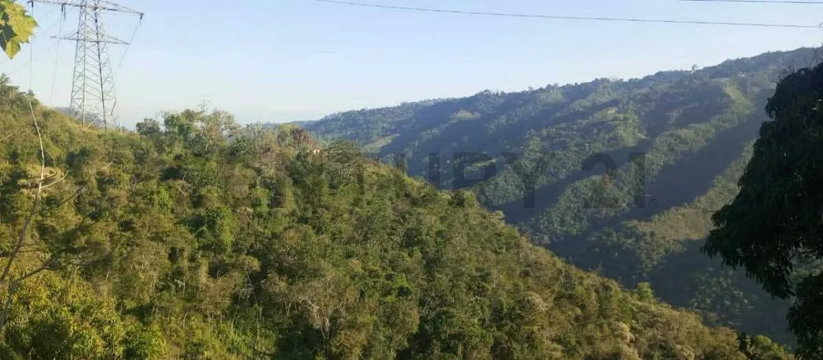 Venta de casa con terreno en Hoyo de la puerta - 20