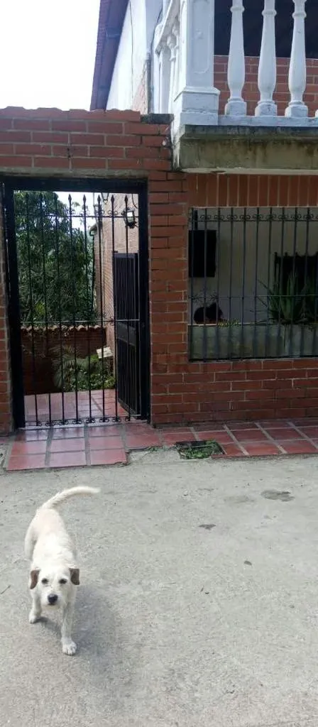 Venta de casa con terreno en Hoyo de la puerta - 7