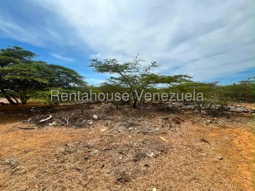 Terreno (Comercial) en Venta en Santa Elena, Falcon - 2