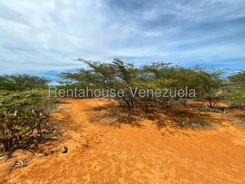 Terreno (Comercial) en Venta en Santa Elena, Falcon - 11