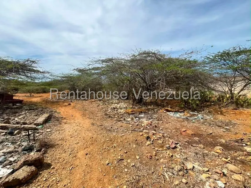 Terreno (Comercial) en Venta en Santa Elena, Falcon - 3
