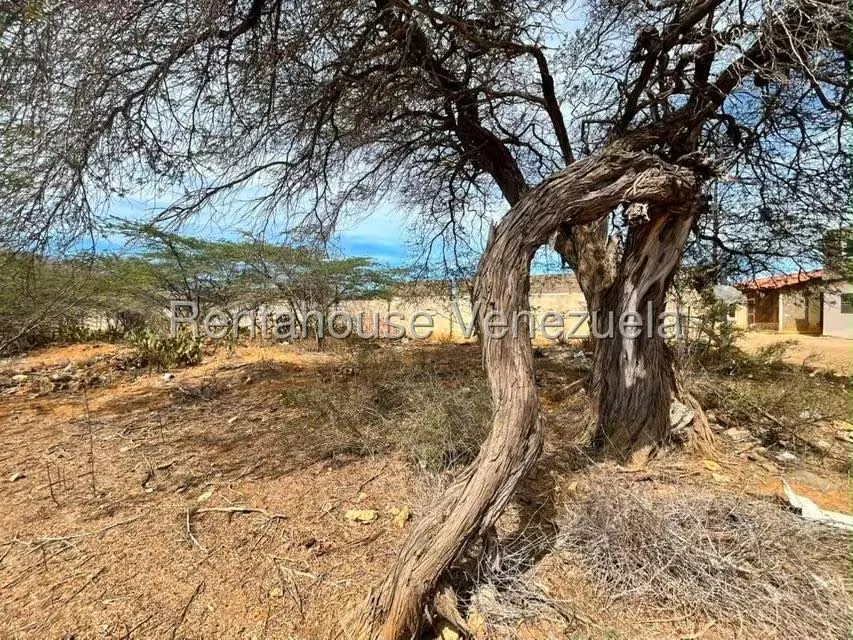 Terreno (Comercial) en Venta en Santa Elena, Falcon - 4