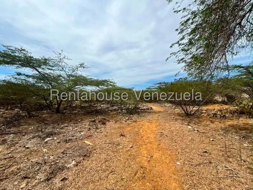 Terreno (Comercial) en Venta en Santa Elena, Falcon - 5