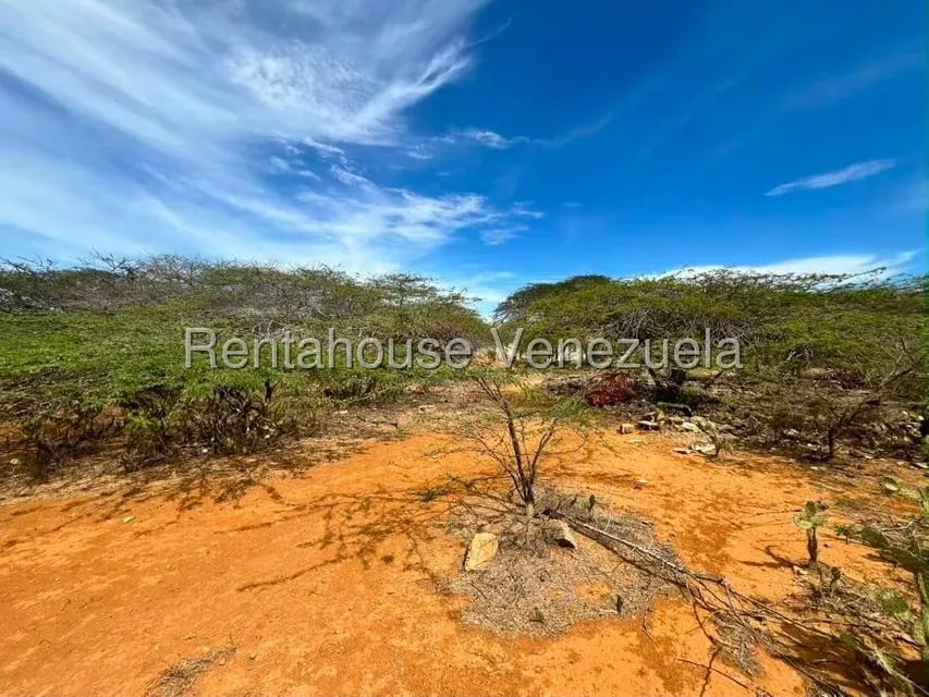 Terreno (Comercial) en Venta en Santa Elena, Falcon - 8