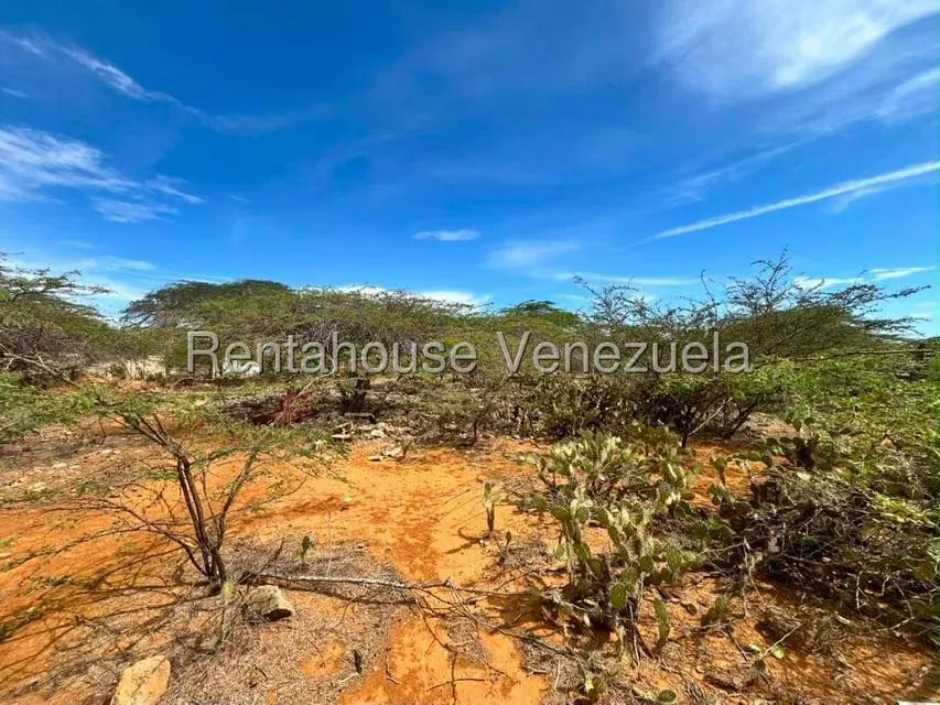 Terreno (Comercial) en Venta en Santa Elena, Falcon - 9