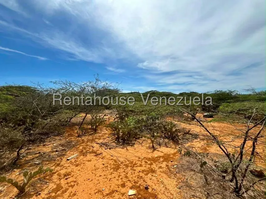 Terreno (Comercial) en Venta en Santa Elena, Falcon - 10