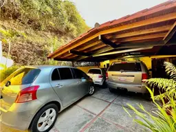 Vista 12