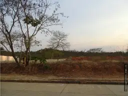 Vista 5