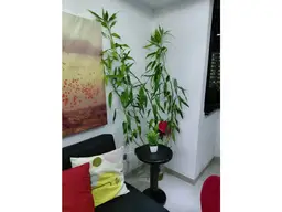 Vista 4