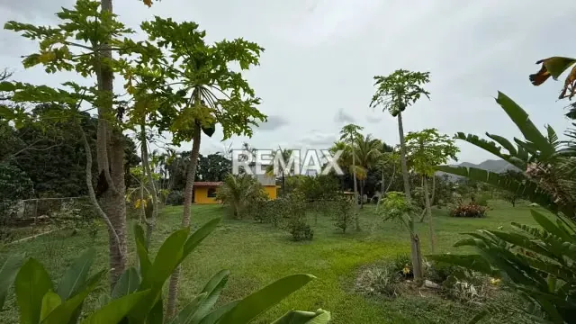 Venta Terreno, Casa, Galpon, Locales Yagua - 9