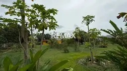 Vista 9