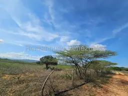 View 1