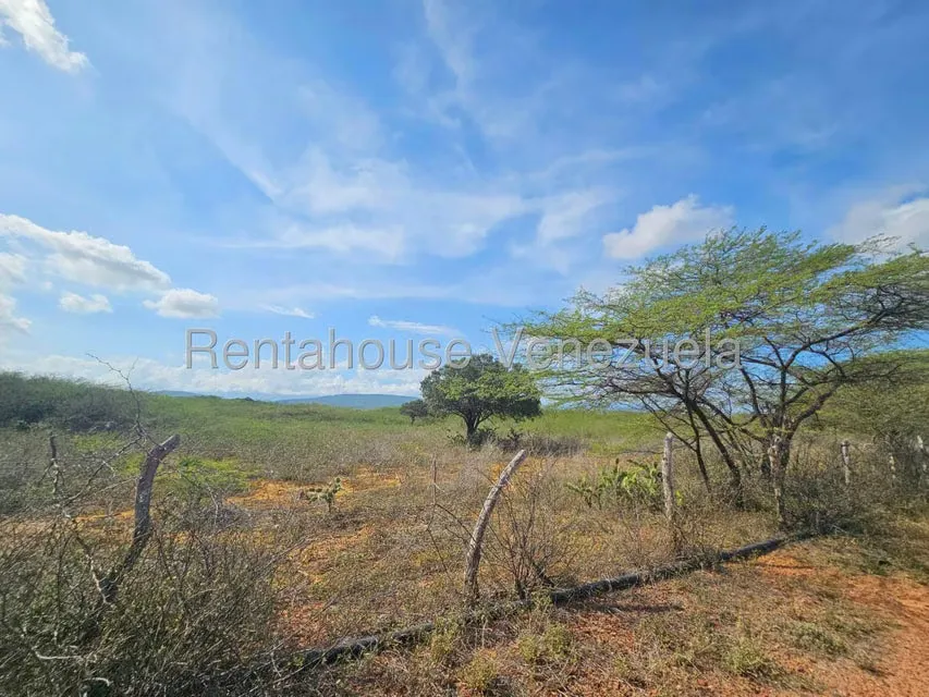Terreno (Comercial) en Venta en Intercomunal Coro La Vela, Falcon - 3