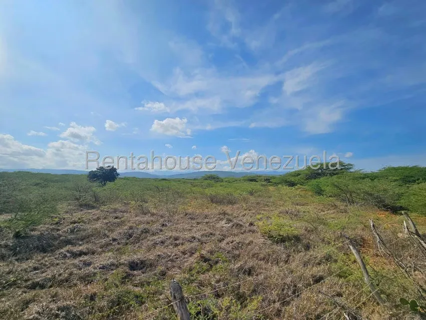 Terreno (Comercial) en Venta en Intercomunal Coro La Vela, Falcon - 4