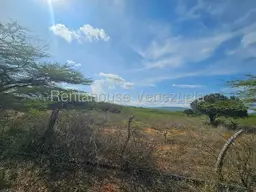View 6