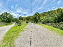 Vista 38