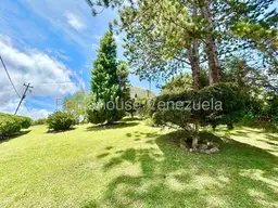 Vista 9
