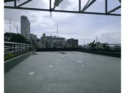 View 15