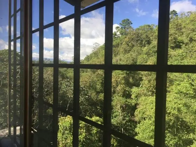Casa (Multipes Niveles) en Venta en Parcelamiento Cortada del guayabo, Miranda - 18