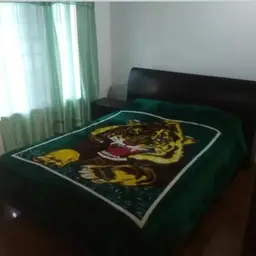 Vista 17