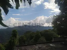 Vista 17