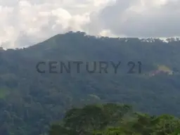 Vista 18