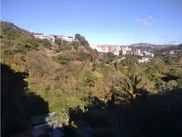 View 4