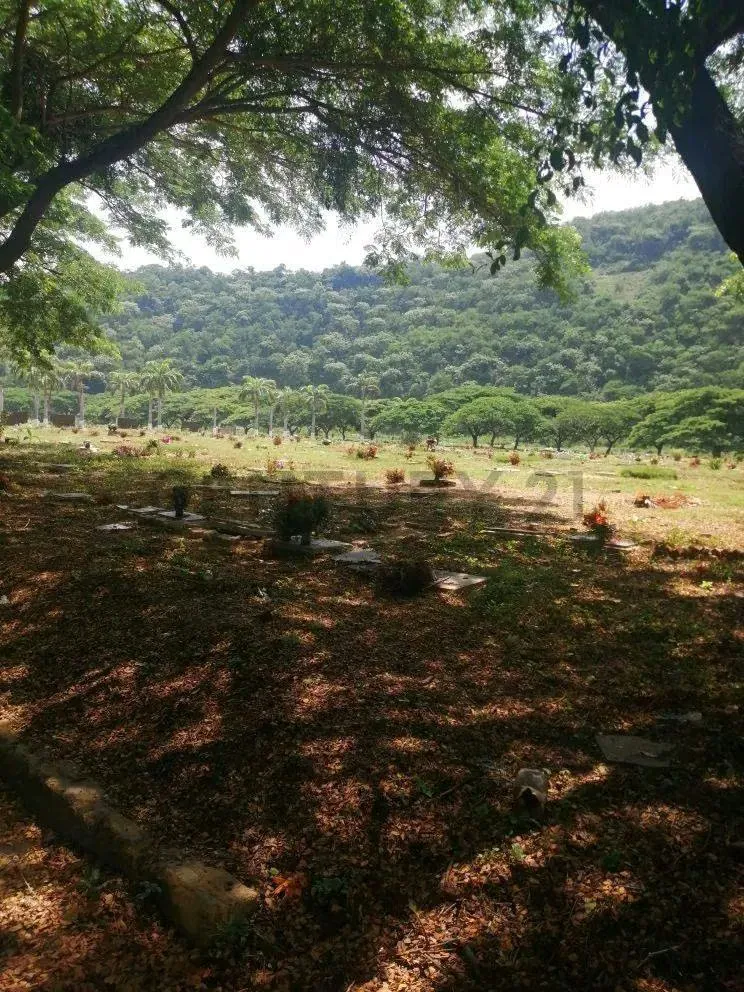 Parcelas en Cementerio en Venta en Jardines El Cercado, Guarenas - 4
