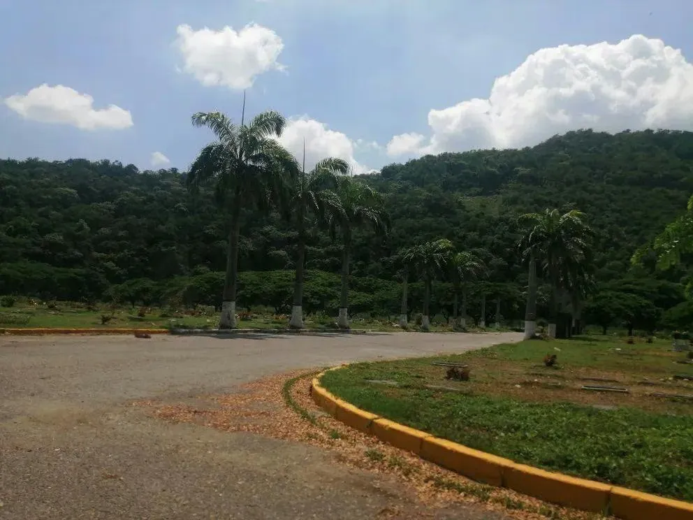 Parcelas en Cementerio en Venta en Jardines El Cercado, Guarenas - 6