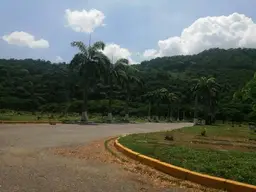 Vista 6