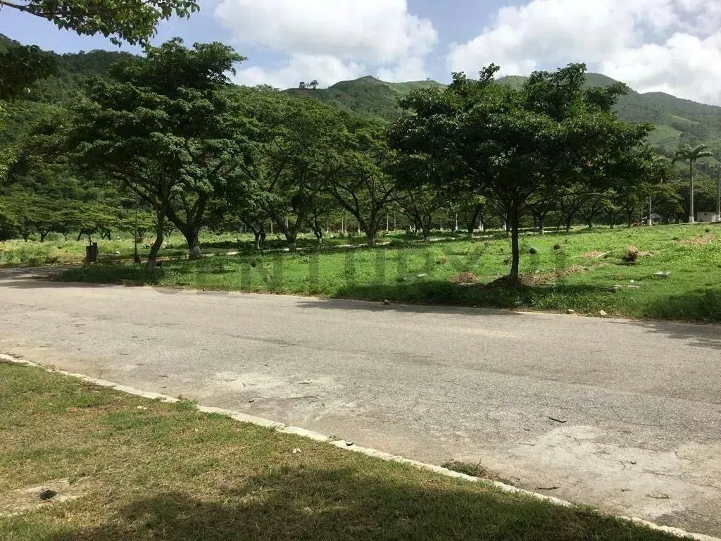 Parcelas en Cementerio en Venta en Jardines El Cercado, Guarenas - 7