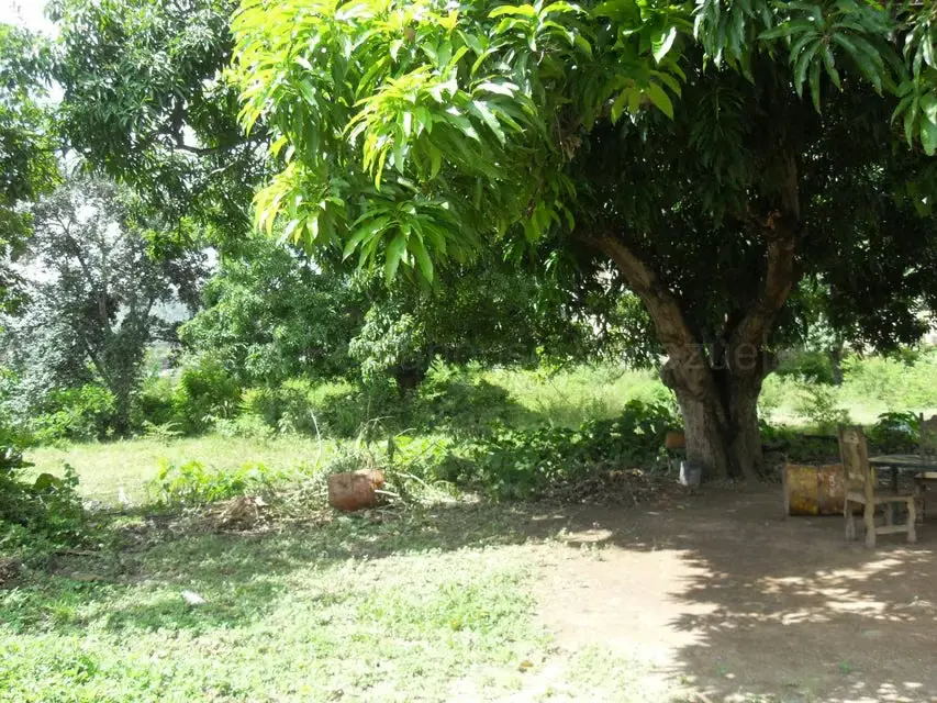 Terreno (Comercial) en Venta en Yagua, Carabobo - 11