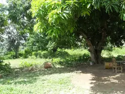 Vista 11