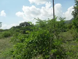 Vista 12