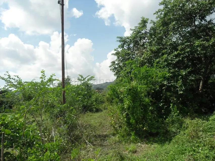 Terreno (Comercial) en Venta en Yagua, Carabobo - 13