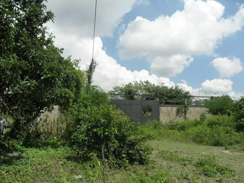 Terreno (Comercial) en Venta en Yagua, Carabobo - 14