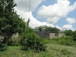 Vista 14