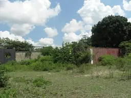Vista 15