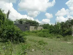 Vista 16