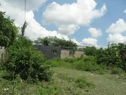Vista 17