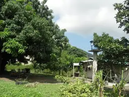 Vista 18